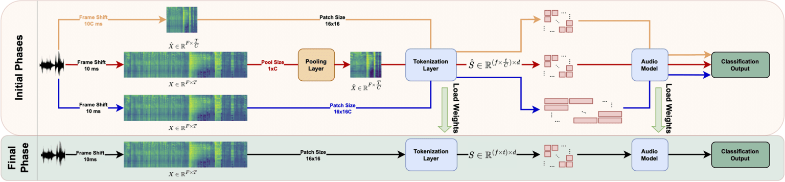 From Coarse to Fine: Efficient Training for Audio Spectrogram Transformers